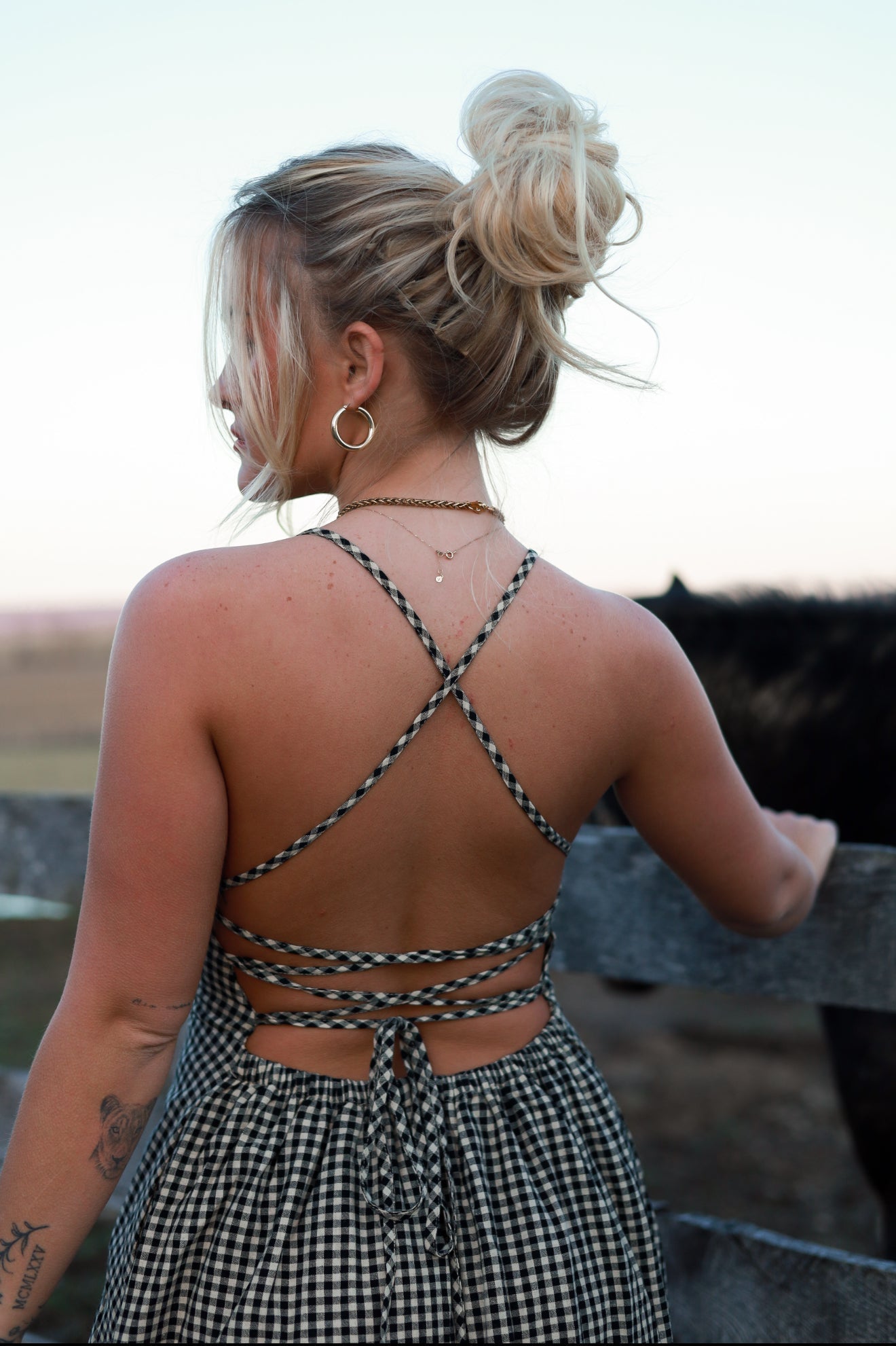 Homestead Gingham Dress