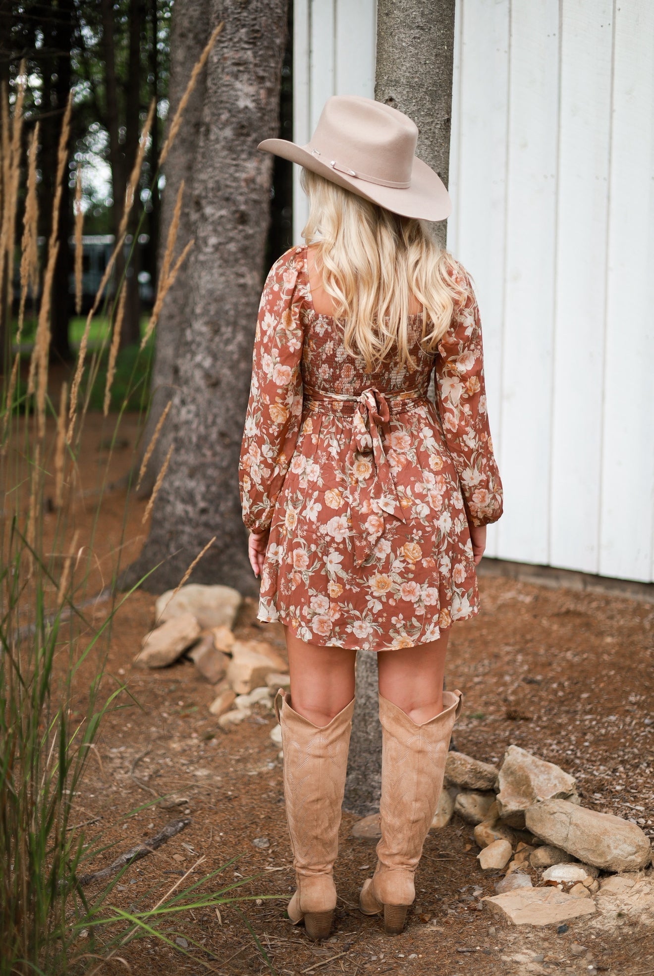 Cinnamon Rose Mini Dress