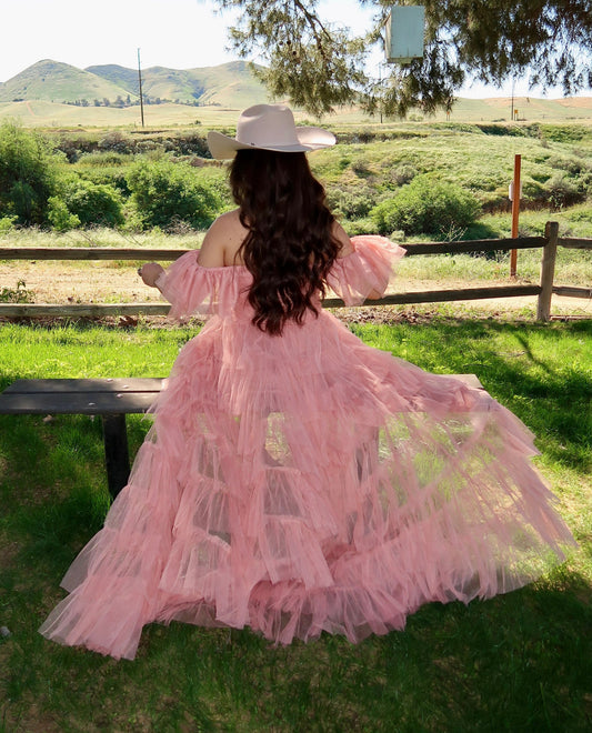 Fairytale Princess Tulle Dress (Blush)