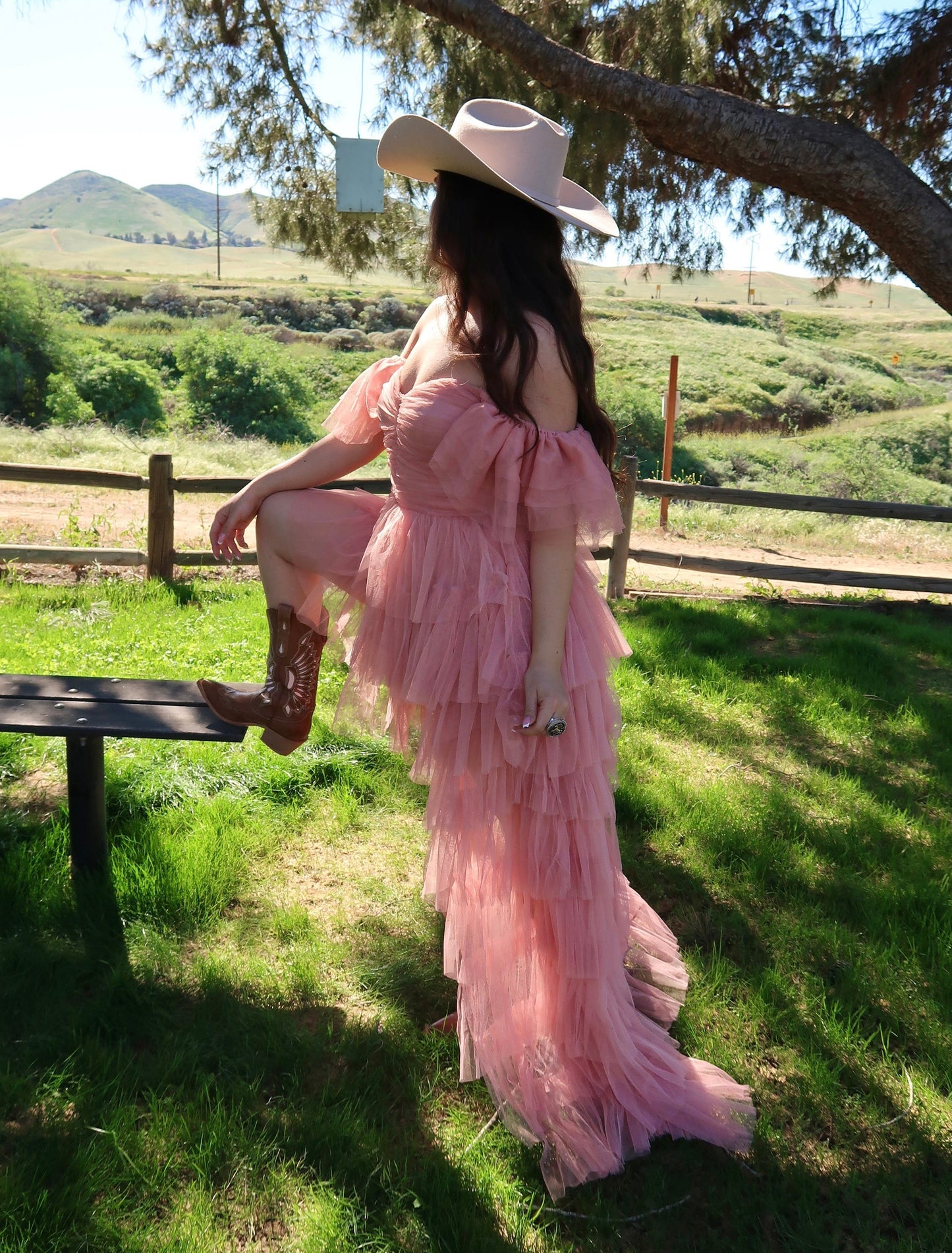 Fairytale Princess Tulle Dress (Blush)