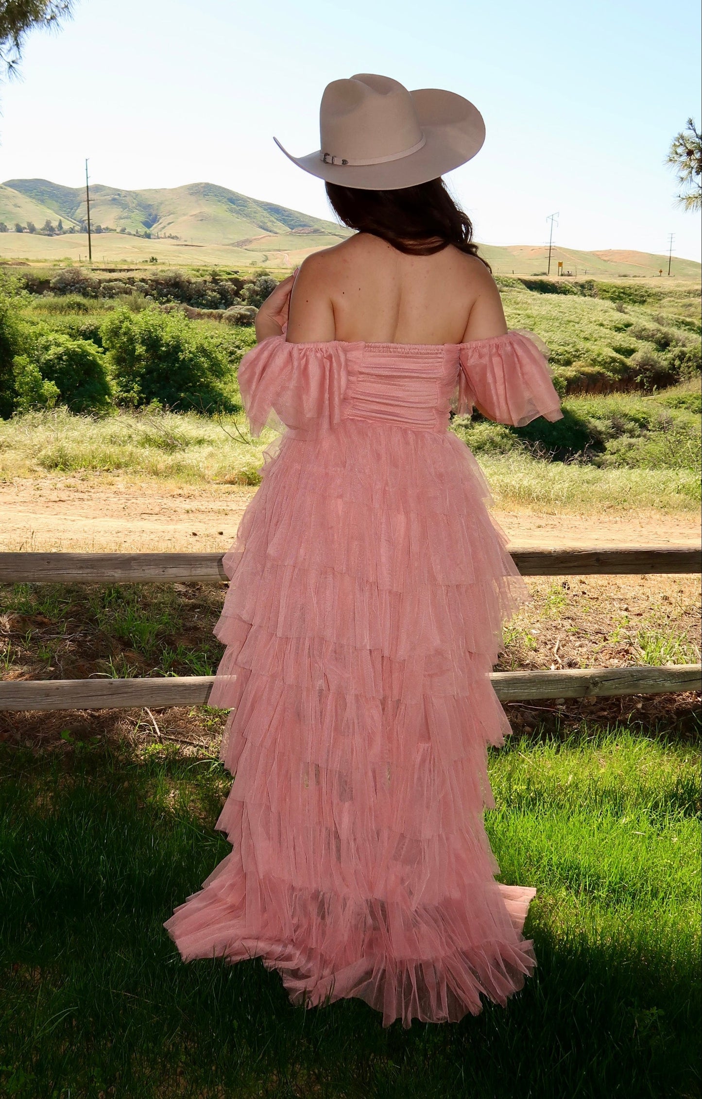 Fairytale Princess Tulle Dress (Blush)