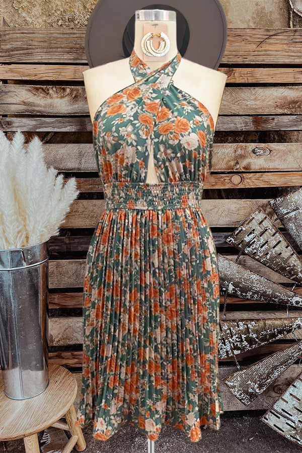 Vintage Pleated Backless Halterneck Dress