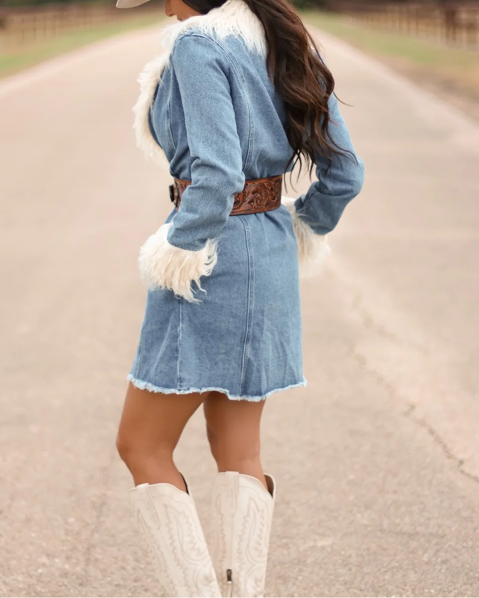 Light Blue Denim Faux Fur Trim Long Sleeve Mini Dress - Back View